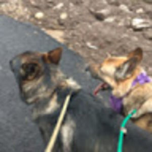 Meet your Posher, Annie